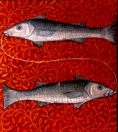 Fische
